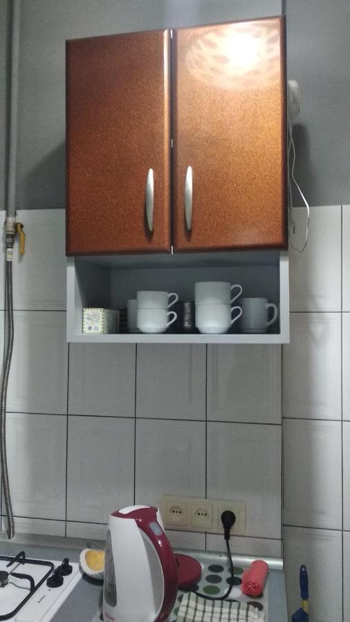 Apartment Anna Lviv Exteriör bild